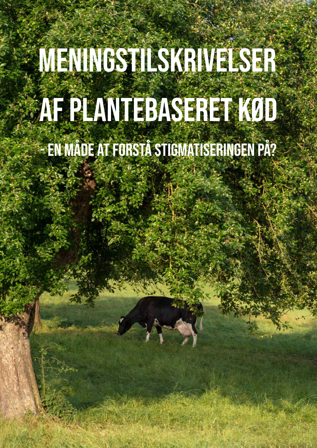 Meningstilskrivelser af plantebaseret kød